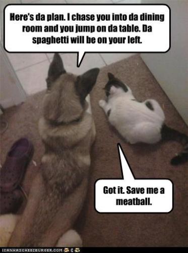 da-plan-i-chase-you-into-da-dining-room-and-you-jump-on-da-table-da-spaghetti-will-be-on-your-left
