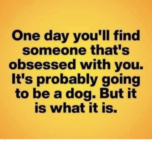 5121784331b5d479493794aae82615a9