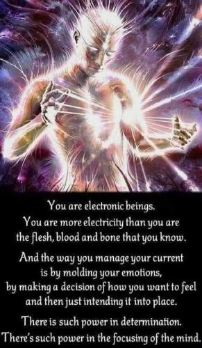 ,                          ,