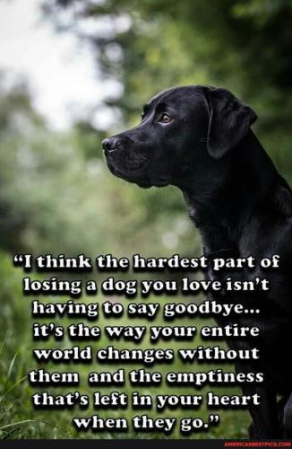 283d441bdb2a34dc69904357a7c9eb450d8155fcfbdabb48c9650422ffbf2a7b_1