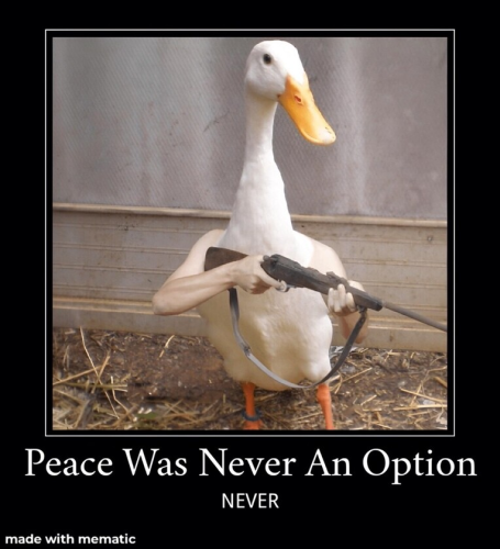 peace never an option