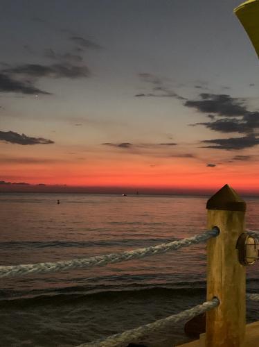 BB5A7204-F3D6-4EF0-966D-307152C0F3F5