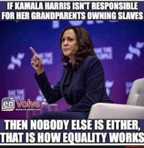 7b21969322528eb96ae5a25f71c2b50b9cf6c78fb33c13533a7b8237142c7827_1