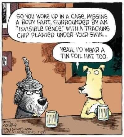 image_E12F9E40-73D8-46A0-A478-2430ECA10526