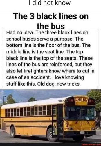 43254bec0a7d72ea0061c6c0829b4a369417dc40c0930ae8bc73d95445eeeafc_1