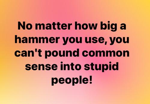 DDABF542-7D80-4F33-A9DA-9B2F9E4160B1