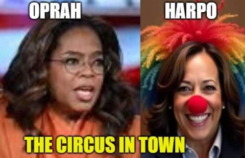 FB_IMG_1727546127030