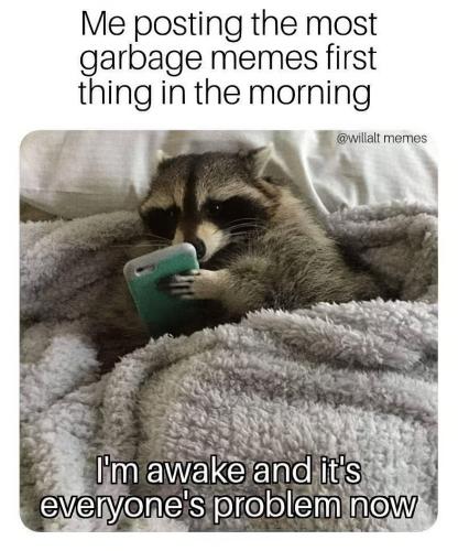 garbage panda