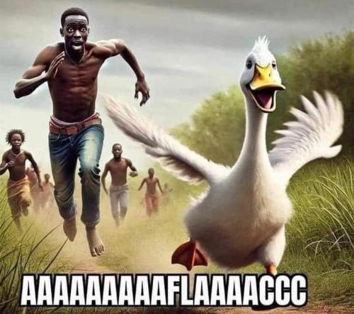 aflac f