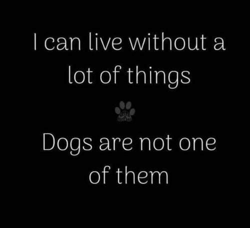 49e58d9b65b81e4d031e28528cdb47c9