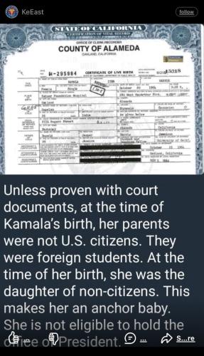 KAMALA HARRIS NON CITIZEN