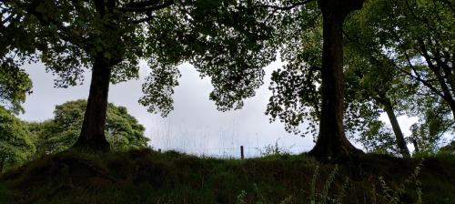 IMG_20240914_124525436_HDR