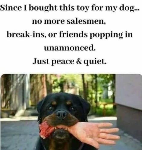 c430d5e5cb6c5962e12a3d803e8e530b