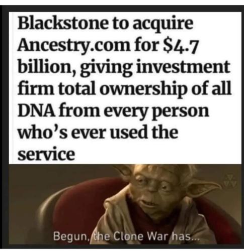 xephula_5217157c1a83c775f026dd8d46e2d28c