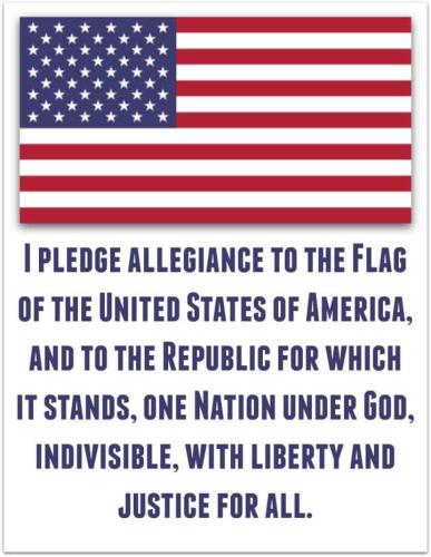 60569-pledge-american-flag