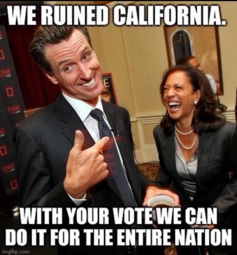 C5EE1A35-5CD7-4E96-A168-5A16FDDD8CBD