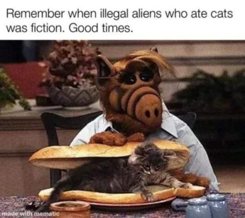 FB_IMG_1726008991291