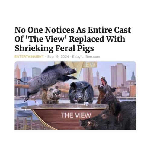 01ca8c1d-57ce-41b6-a92a-52431155344a