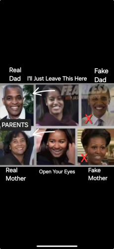 obama is not a father_big d mike is not a mother