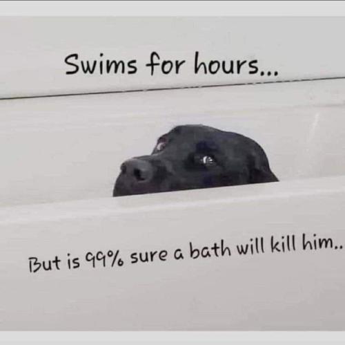 3e3d29626f226dac25e08e76cac02680