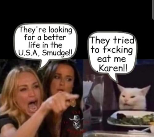 Screenshot_20240914-152924_Brave