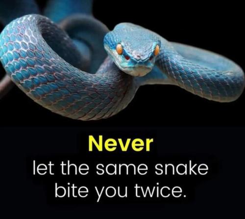 49e80f78-ceba-46a8-b758-4067a243e42b