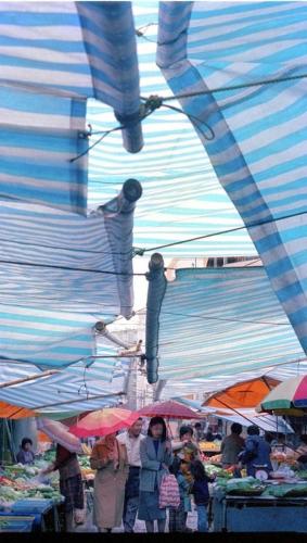 IMG_20240918_131029_310
