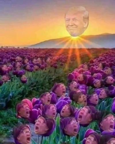 95e0749d-0da4-46c9-8688-75eb69bb748a