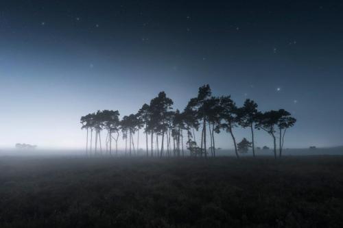 IMG_20240916_054134_232