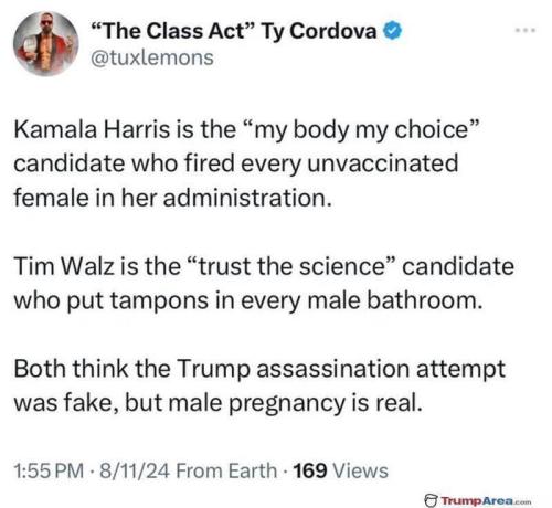 image_D69877AB-B1B7-4478-9B5D-57C5D8A4195E