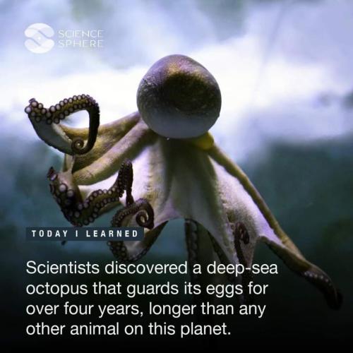 8553266c-69f9-48f0-85ef-315fda3bf560