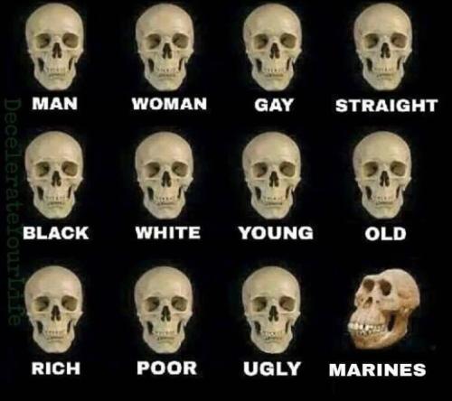 A9555B94-7469-41DF-8E77-2F1CF34125C9