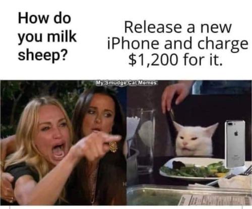 649CCD81-43F1-4A3C-86E5-E281E9E196EE