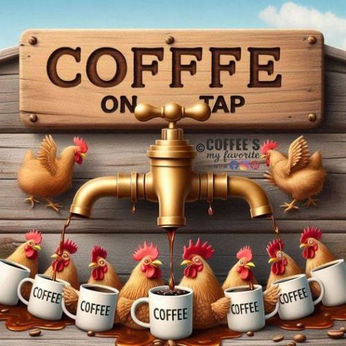 458752078_428267003601324_2798841633264044307_n