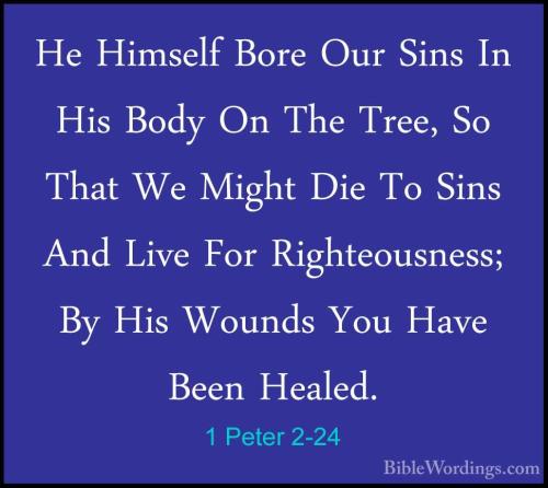 1 Peter 2_24