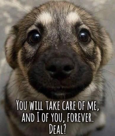 d5417150c55d1f8491d5c21cdd1640c4