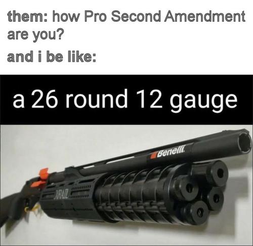 how pro second amendment are you05