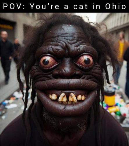 IMG_20240912_170555_139