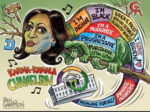 xephula_a6b268782300276e0898b661e2fcf9cb