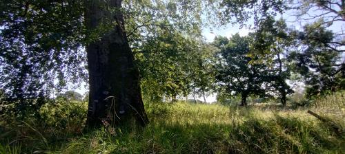 IMG_20240831_122240868_HDR