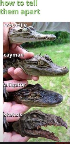 3f84f8dcd610392dfd5dce1df41fbfe5948a4d1015e3dd11bb1932001dbd1781_1