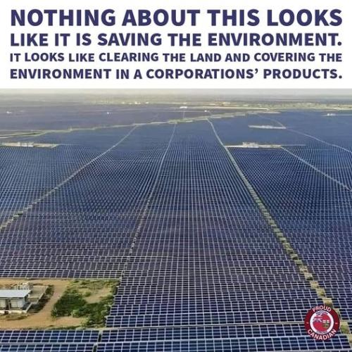 xephula_f75759086fe0d316ff48e017b496d80d