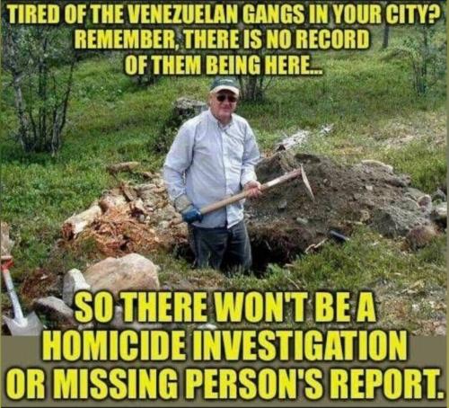 IMG_20240907_024445_357