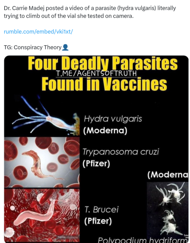 Screenshot_2024-09-06-11-49-53_kindlephoto-568385081