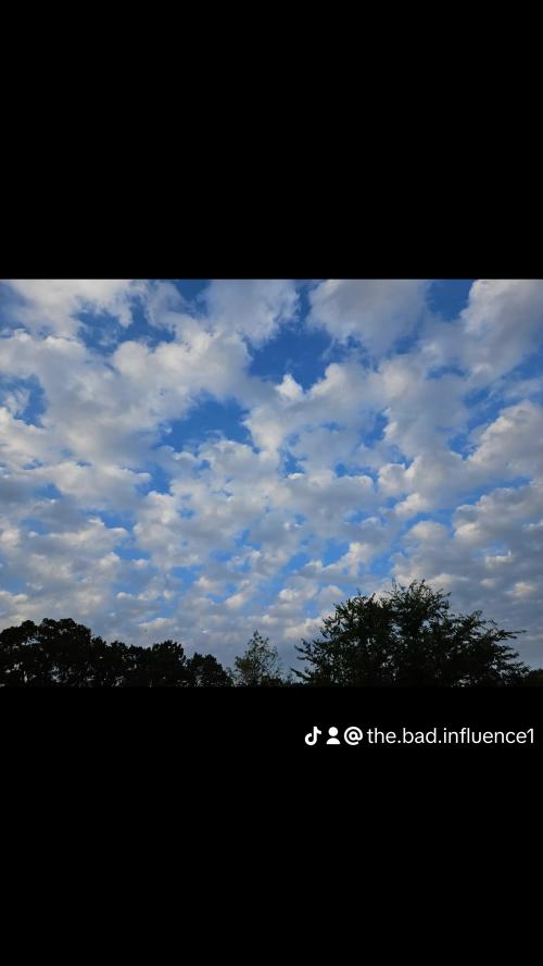 eb7cb24232e3d695990828eaed1334c3_0