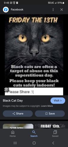 Screenshot_20240913_094842_Google
