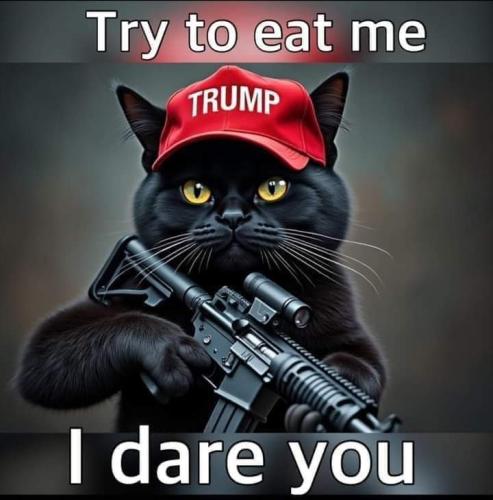 IMG_20240913_232158_309