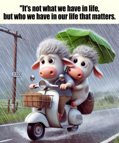 460143447_122158742492106171_3572857412607097910_n