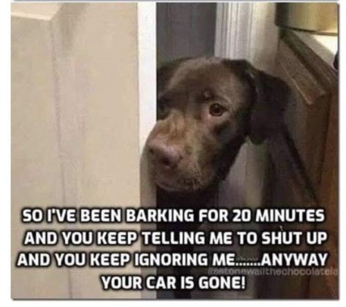 fc8b5839c828415e4b653216df4be635