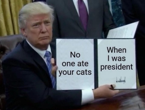 no eat cats g